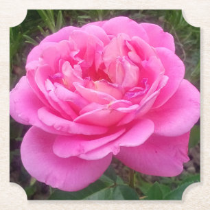 Dessous-de-verre En Papier Rose romantique 'Léonard de Vinci'