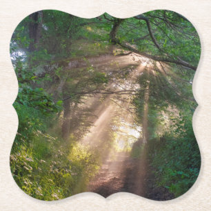 Dessous-de-verre En Papier sentier forestier