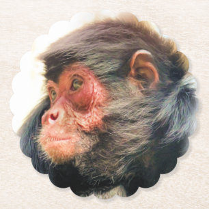 DESSOUS-DE-VERRE EN PAPIER SPIDER MONKEY