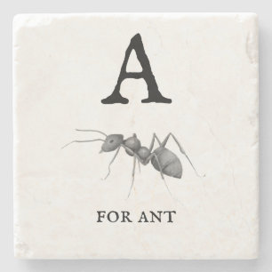 Dessous-de-verre En Pierre "A" pour Ant