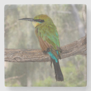 Dessous-de-verre En Pierre Abeille arc-en-ciel, Australie