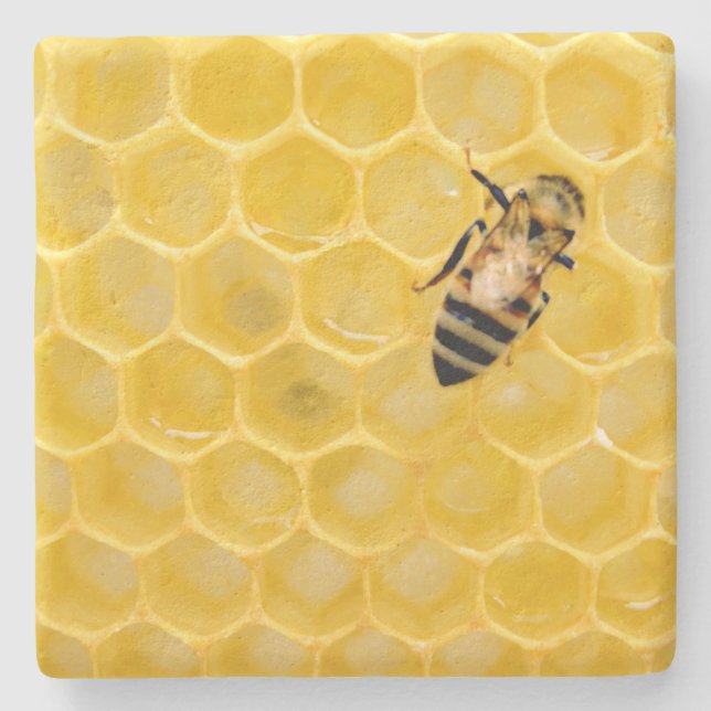 Dessous-de-verre En Pierre abeille et nid d'abeille (Devant)