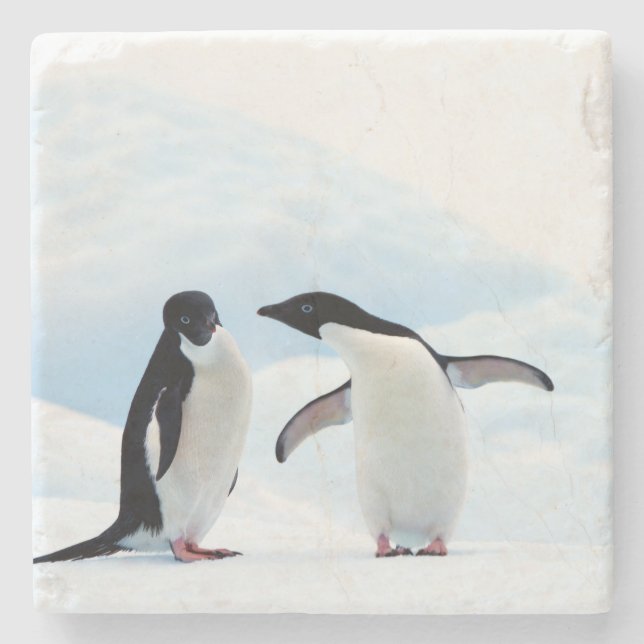Dessous-de-verre En Pierre Adelie Penguins (Devant)