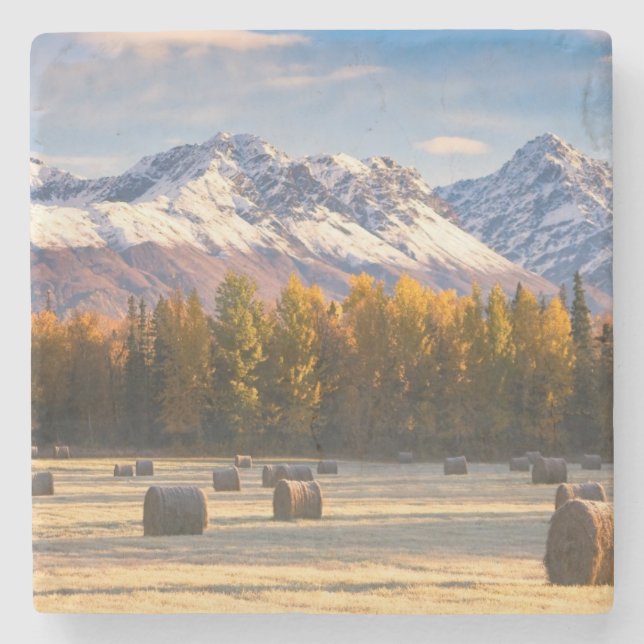 Dessous-de-verre En Pierre Agriculture de l'Alaska (Devant)