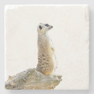 Dessous-de-verre En Pierre Alerte Meerkat En Garde,