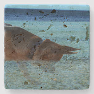 Dessous-de-verre En Pierre Allemagne berger Crabbing Adventure,