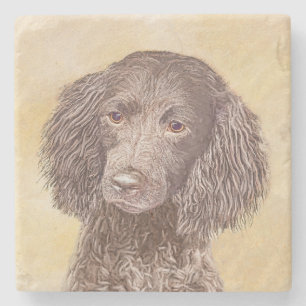 Dessous-de-verre En Pierre American Water Spaniel Peinture - Original Dog Art