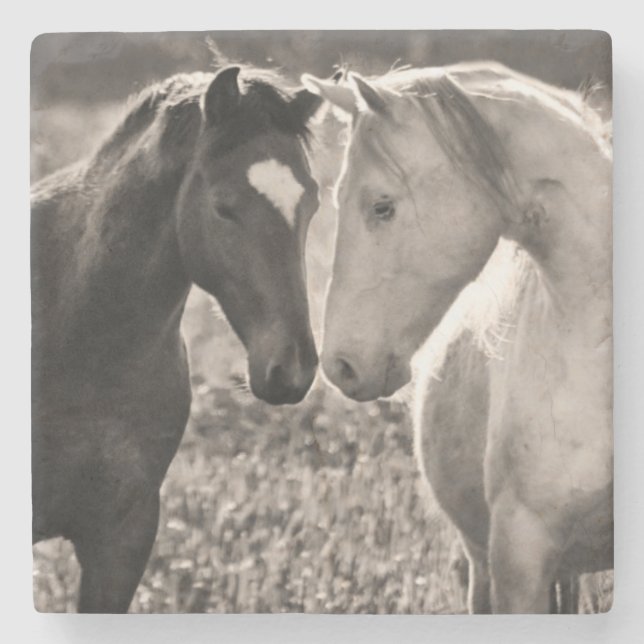 Dessous-de-verre En Pierre Amour de cheval (Devant)