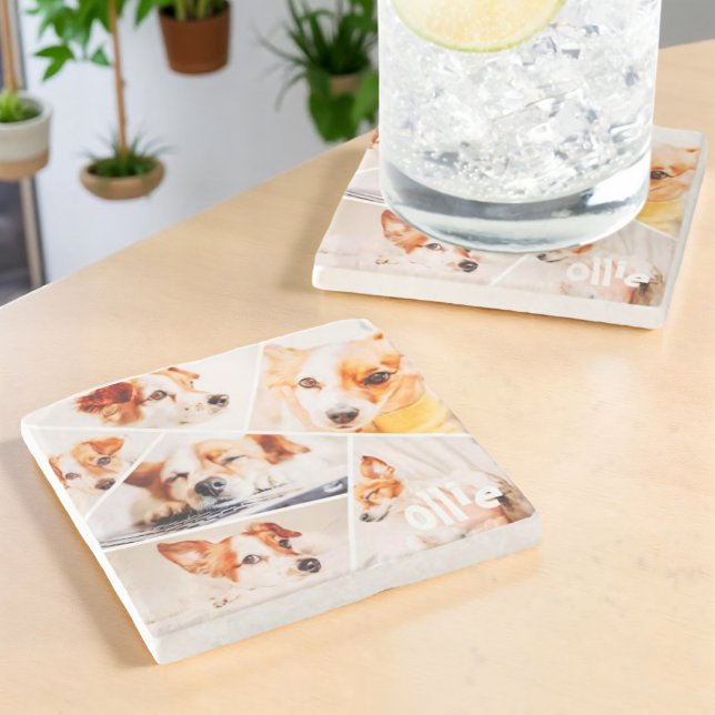 Dessous-de-verre En Pierre Animaux de compagnie Moderne Simple Personnalisé 6 (Créateur téléchargé)