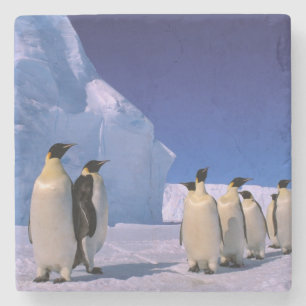 Dessous-de-verre En Pierre Antarctique, Territoire antarctique australien, 7