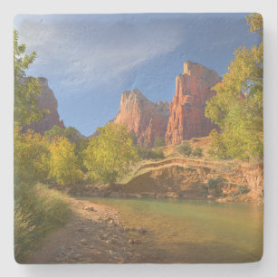 Dessous-de-verre En Pierre Après-Midi Dans Le Parc National De Zion