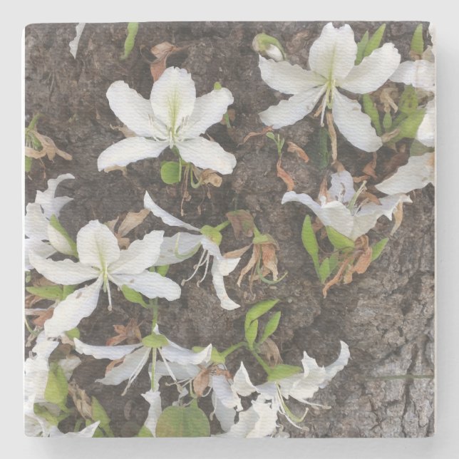 Dessous-de-verre En Pierre Arbre (Devant)