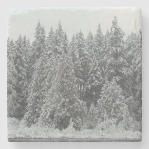 Dessous-de-verre En Pierre Arbres d'hiver