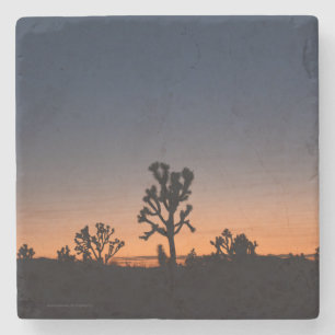 Dessous-de-verre En Pierre Arbres Joshua coucher de soleil