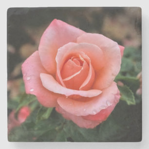 Dessous-de-verre En Pierre Art botanique romantique Rose Imprimer