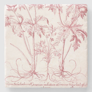 Dessous-de-verre En Pierre Art botanique Vintage rose