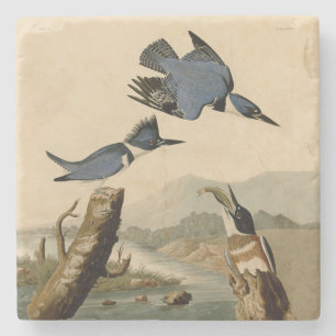 Dessous-de-verre En Pierre Audubon Belted Kingfisher Wildlife Bird