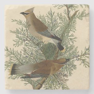 Dessous-de-verre En Pierre Audubon Cèdre cire oiseau