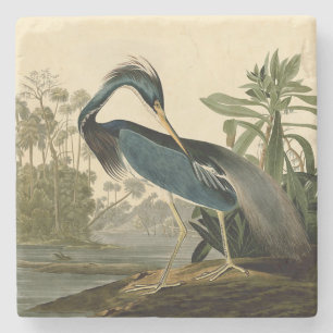Dessous-de-verre En Pierre Audubon Louisiana Heron Birds America Art