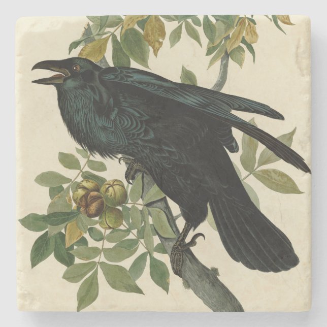 Dessous-de-verre En Pierre Audubon Raven Oiseau classique (Devant)