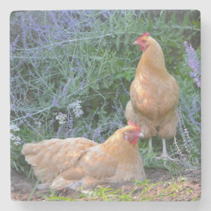Dessous-de-verre En Pierre Bain de soleil aux poulets