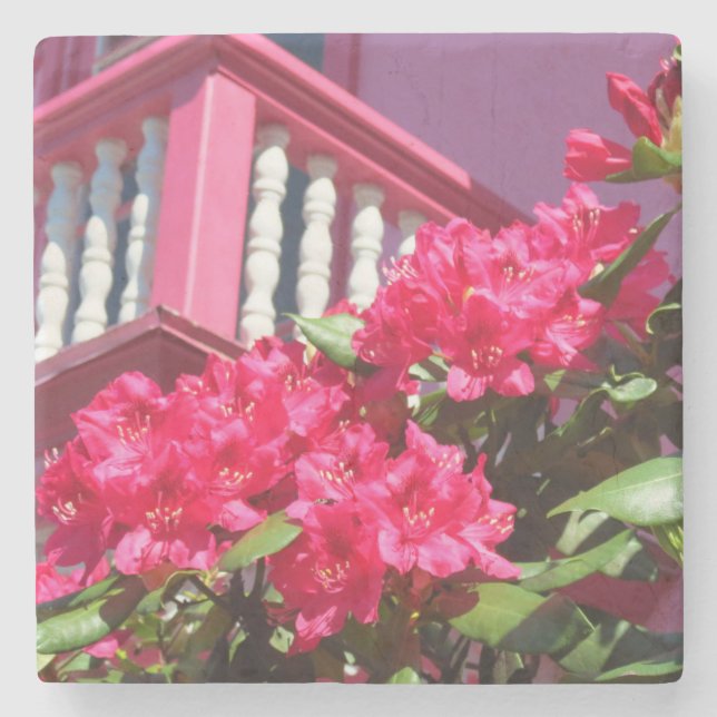 Dessous-de-verre En Pierre Balcon de printemps rose - Vignoble de Martha (Devant)