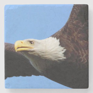 Dessous-de-verre En Pierre Bald Eagle ciel bleu