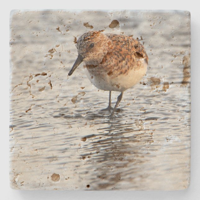 Dessous-de-verre En Pierre Beach Bird Photo Stone Coaster (Devant)