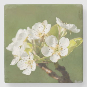Dessous-de-verre En Pierre Beau Dessous de verre en pierre de Fleur
