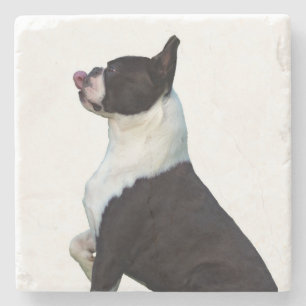 Dessous-de-verre En Pierre Beau noir et blanc Boston Terrier Dessous de verre