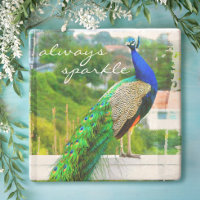 Beau Peacock Vert Bleu Toujours Citation Étincelan
