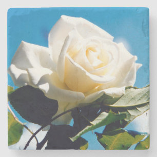 Dessous-de-verre En Pierre Beauté de Rose blanche