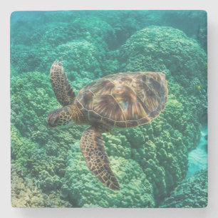 Dessous-de-verre En Pierre Beauté sous-marine