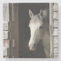 Beaux animaux gris de cheval de jument