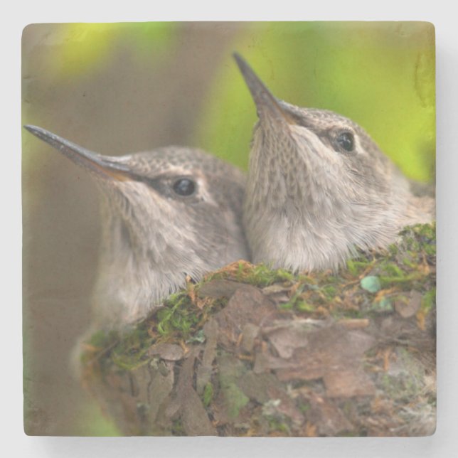 Dessous-de-verre En Pierre Bébé hummingbirds (Devant)