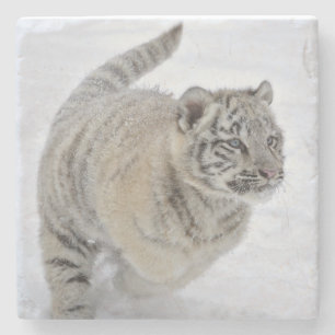 Dessous-de-verre En Pierre Bébé Tigre Blanc