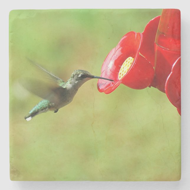 Dessous-de-verre En Pierre Belle alimentation de colibri (Devant)