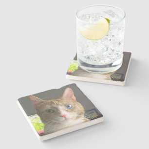 Dessous-de-verre En Pierre Belle chatte d'yeux
