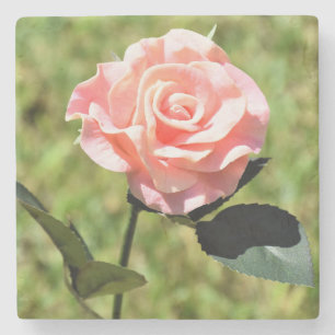Dessous-de-verre En Pierre Belle Fleur Rose Rose Parfaite