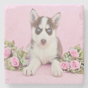 Dessous-de-verre En Pierre Belle marionnette Husky aux roses roses roses