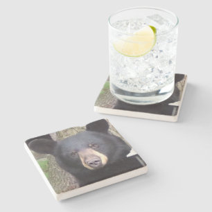 Dessous-de-verre En Pierre Belle Ours Noir