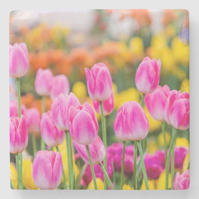 Dessous-de-verre En Pierre Belles tulipes roses (Devant)