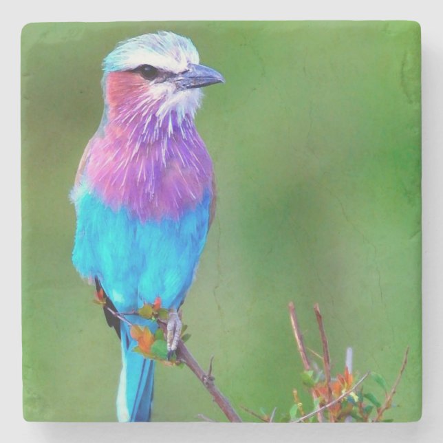 Dessous-de-verre En Pierre BIRD blue _babero (Devant)