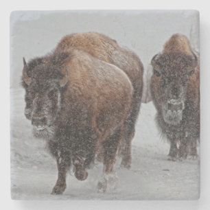 Dessous-de-verre En Pierre Bison de Yellowstone