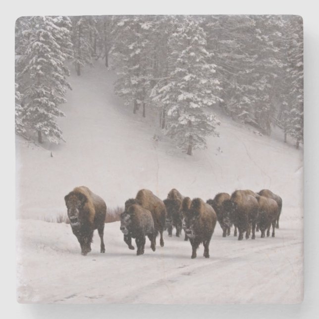 Dessous-de-verre En Pierre Bison en hiver (Devant)