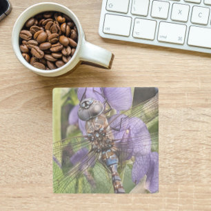Dessous-de-verre En Pierre Bleu-Eyed Denton sur les fleurs violettes
