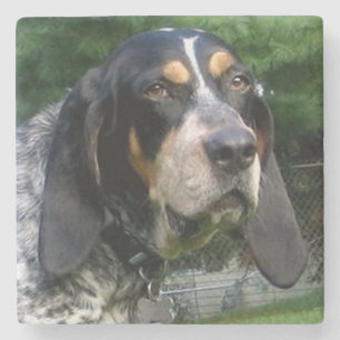 Dessous-de-verre En Pierre Bluetick Coonhound.png