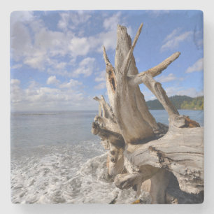 Dessous-de-verre En Pierre Bois de flottage sur Shoreline de plage française