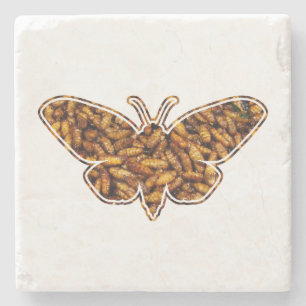 Dessous-de-verre En Pierre Bombyx Mori Silk Moth Cycle de vie Silhouette
