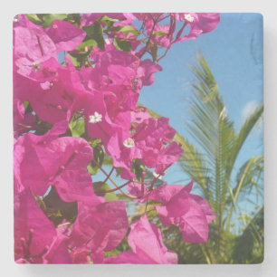 Dessous-de-verre En Pierre Bougainvilliers et palmiers paysage tropical